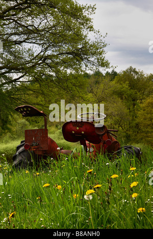 Un vieux tracteur Massey Ferguson dans l'herbe haute. Banque D'Images