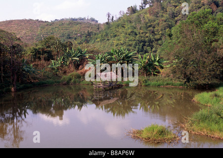 Laos, province de Luang Nam Tha, frontière avec la Chine Banque D'Images