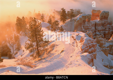 FV3442, Natalie Kauffman ; chemin Dans Paysage d'hiver, Bryce Canyon, Utah Banque D'Images