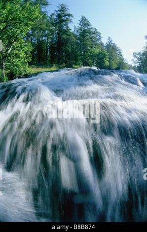 L'eau qui coule dans le parc provincial Rushing River près de KenoraOntario Banque D'Images