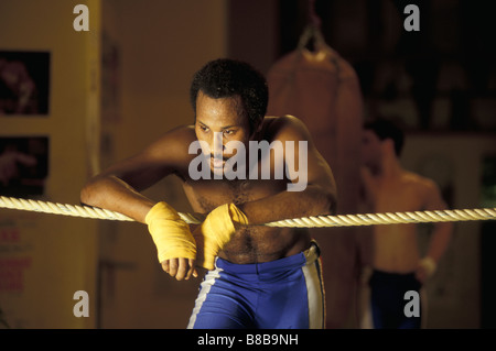 Session de formation se reposant après Boxer Banque D'Images