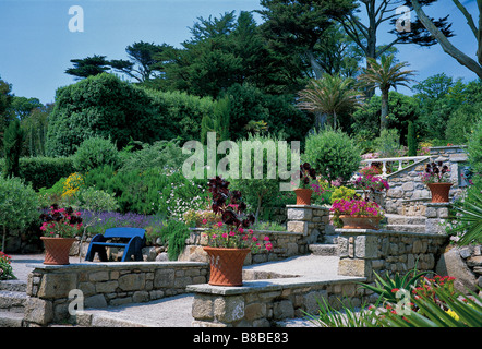 Le jardin en terrasses méditerranéennes colorées à l'abbaye de Tresco Jardins Banque D'Images