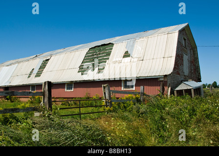 Grange partie manquante de son toit, le sentier de la Confédération, Prince Edward Island, Canada. Banque D'Images