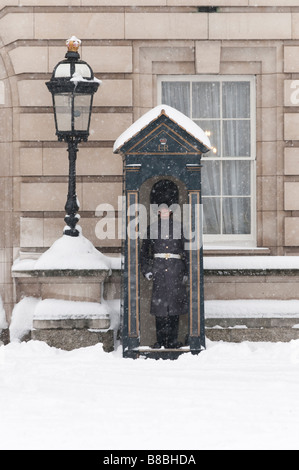 Guardsman hors le palais de Buckingham dans la neige London England UK Banque D'Images