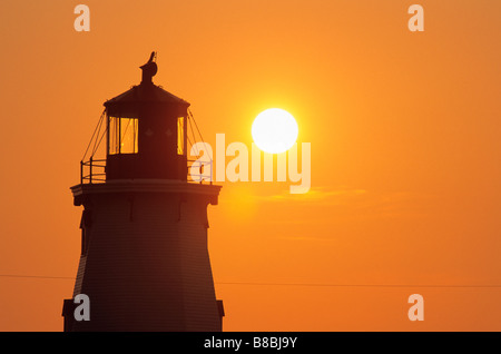 Phare de Panmure Island Sunrise, King's County, Prince Edward Island Banque D'Images