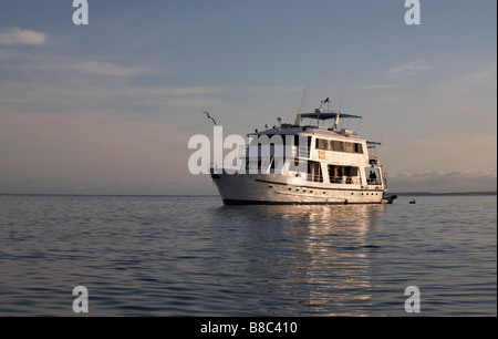 Bateau de visite dans la lumière du soir près de Green Sea Turtle Cove, Santa Cruz, Galapagos, Equateur en Septembre Banque D'Images