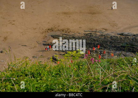 Une vue de saunton sands beach devon depuis les falaises de fleurs sauvages en premier plan Banque D'Images