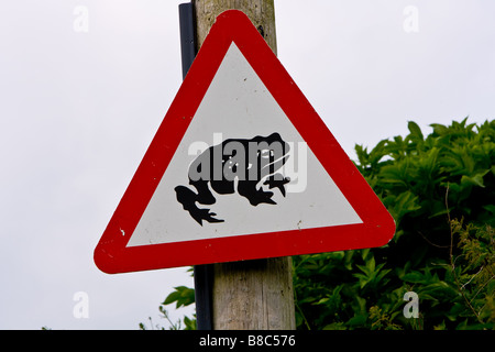 Road sign warning de grenouilles Banque D'Images