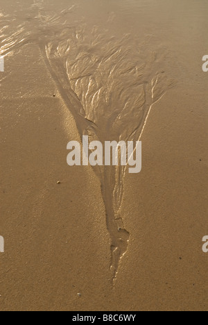 Les patrons de sable créé par la marée descendante Kiloran bay à l'île de Colonsay Hébrides en Écosse Banque D'Images