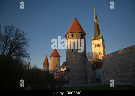 Stolica Estonii Tallin Tallin, la capitale de l'Estonie Banque D'Images