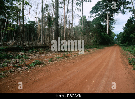 ROAD THROUGH FOREST Banque D'Images