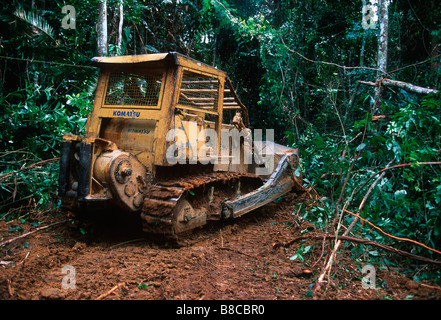 L'EXPLOITATION FORESTIÈRE DE LA FORÊT TROPICALE Banque D'Images