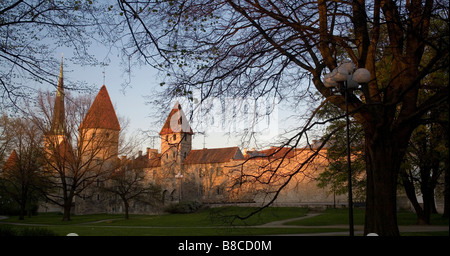 Stolica Estonii Tallin Tallin, la capitale de l'Estonie Banque D'Images