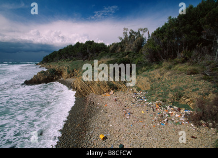 Foutaise ON BEACH Banque D'Images