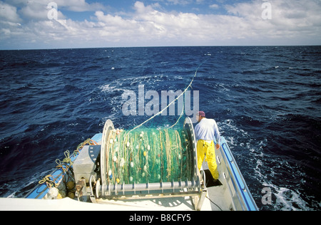 PÊCHE DU REQUIN Banque D'Images