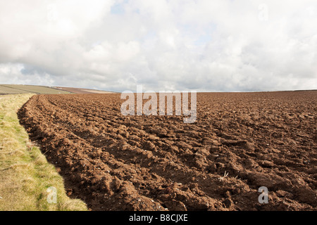 Champ labouré sur une journée ensoleillée l'hiver Banque D'Images