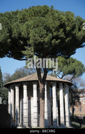 Temple de Vesta, Rome, Italie Banque D'Images