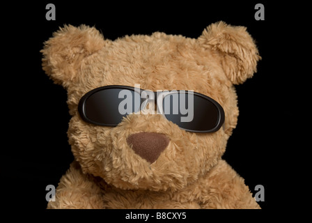 Cool ours portant des lunettes de Ted Banque D'Images