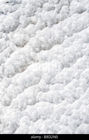 Motif de la neige formée sur arbre coupé après la chute de neige. Banque D'Images