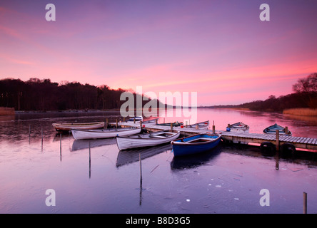 Un lever de soleil sur l'hiver gelé un large sur l'Ormesby Norfolk et Suffolk Broads, UK Banque D'Images