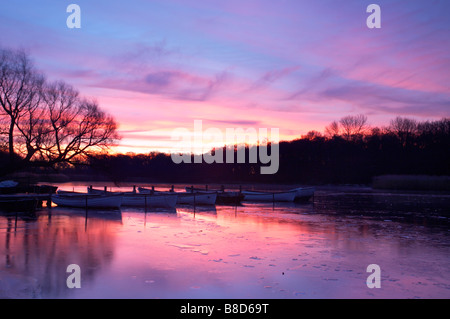 Un lever de soleil sur l'hiver gelé un large sur l'Ormesby Norfolk et Suffolk Broads, UK Banque D'Images