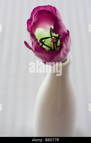 Une tulipe artificielle dans un vase Banque D'Images