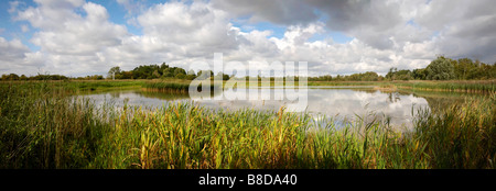 Comment Hill réserve naturelle sur les Norfolk Broads avec le Clayrack en bois Moulin de drainage à l'arrière-plan Banque D'Images