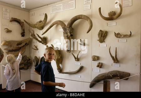 Musée à la Gorge d'Olduvai Serengeti berceau de l'humanité Banque D'Images