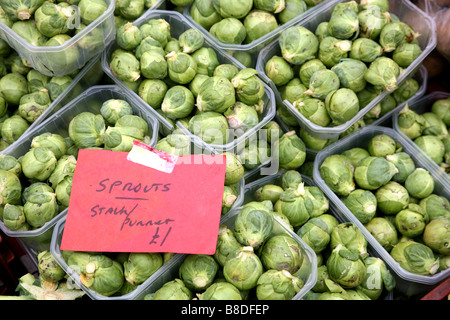 Les choux de Bruxelles en vente à Londres Farmers Market Banque D'Images