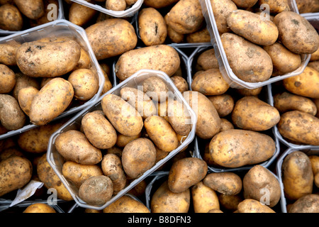 Les pommes de terre sur la vente dans un marché de producteurs de Londres Banque D'Images