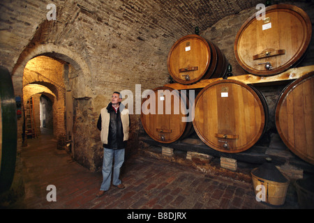 Cave à vin, Palazzo Contucci Vignoble, Montepulciano, Toscane, Italie Banque D'Images