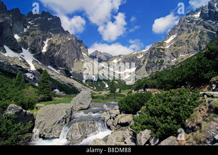 Mala Studena vallée dolina, Hautes Tatras, Slovaquie Banque D'Images