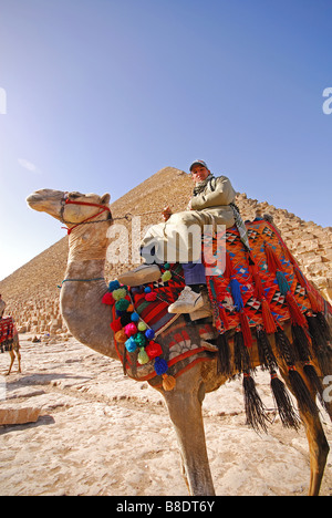 Le Caire, Égypte. Un jeune homme égyptien sur un chameau par la grande pyramide de Khéops à Gizeh. L'année 2009. Banque D'Images
