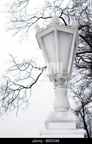 Lampadaire de style victorien en hiver plus de ciel couvert et de branches d'arbres sans feuilles. Banque D'Images