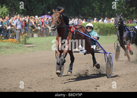 Courses de chevaux trotter faisceau à Tambov, Russie Banque D'Images