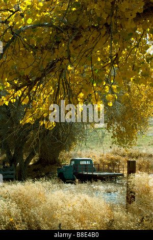 Vieux camion sur une ferme à l'automne Banque D'Images