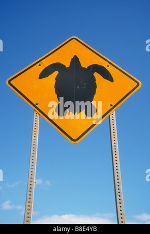 Inscrivez-vous sur Great Ocean Road près de Melbourne, Australie avertit de tortues de mer traversent la route. Banque D'Images
