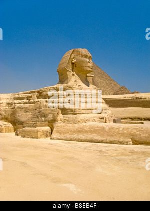 Le grand Sphinx de Gizeh en Egypte Banque D'Images