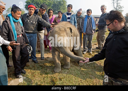 Les visiteurs du Centre d'élevage d'éléphants du parc national de Chitwan Népal Sauraha Banque D'Images