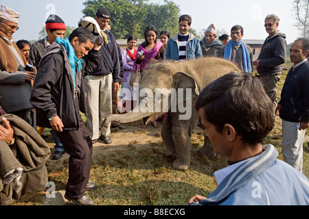 Les visiteurs du Centre d'élevage d'éléphants du parc national de Chitwan Népal Sauraha Banque D'Images