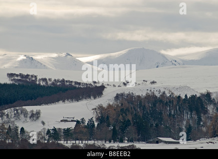 L'hiver dans le Parc National de Cairngorms à Tomintoul Highlands écossais Inverness-shire SCO 2186 Banque D'Images