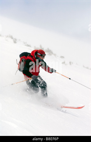 L'homme à travers le ski de télémark sur poudre de diamant du Nord en Crête Cameron Pass, Colorado Banque D'Images