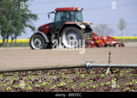 Le sprinkleur un champ et un tracteur à l'arrière-plan Banque D'Images