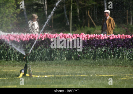 Fleurs d'être arrosé à BUGA 2007 afficher dans Ronneburg, Allemagne Banque D'Images