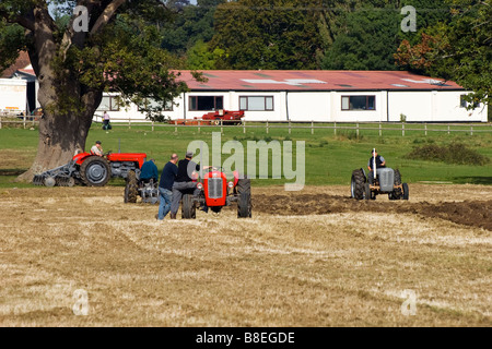 Les passionnés du tracteur de labour avec Massey Ferguson, 35 & 65, et Ferguson 35 & modèles T20 Banque D'Images