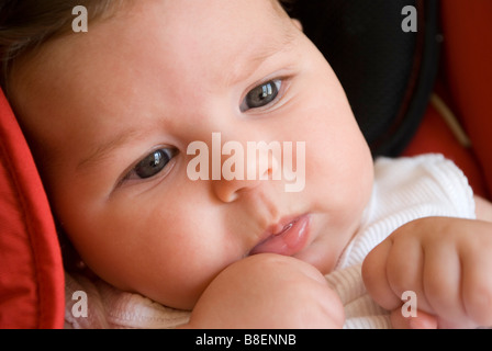 Bébé dans le carseat Banque D'Images