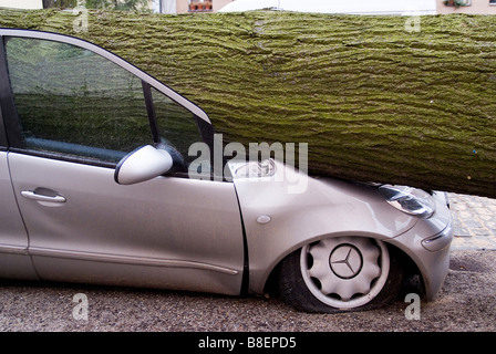 Location écrasé sous un arbre, Berlin, Allemagne Banque D'Images