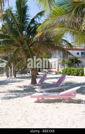 Rose et blanc et de chaises de jardin en bois reposant dans le sable sous les palmiers en fin d'après-midi du soleil sur Ambergris Caye, Belize Banque D'Images