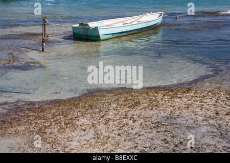 Un petit bateau est lié à un jeu dans les bas-fonds avec des voiliers à l'horizon sous un soleil d'après-midi chaud : Ambergris Caye, Belize Banque D'Images