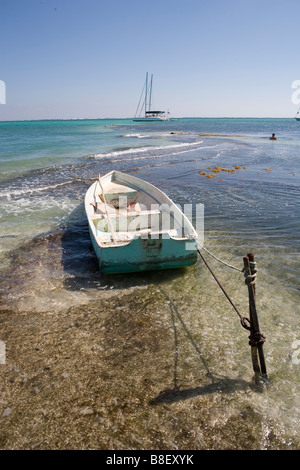 Un petit bateau est lié à un jeu dans les bas-fonds avec des voiliers à l'horizon sous un soleil d'après-midi chaud : Ambergris Caye, Belize Banque D'Images